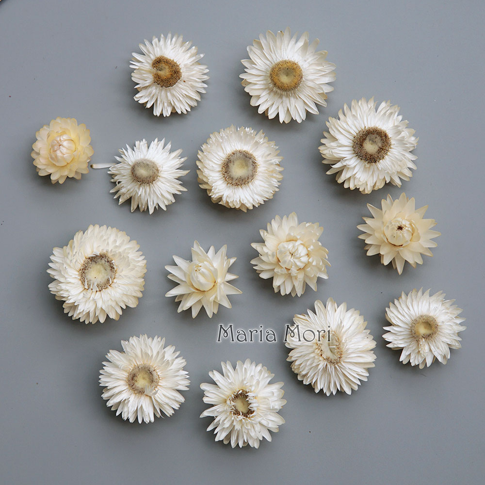 Baby Products Dropshipping - Karangan bunga krisan warna-warni kering alami